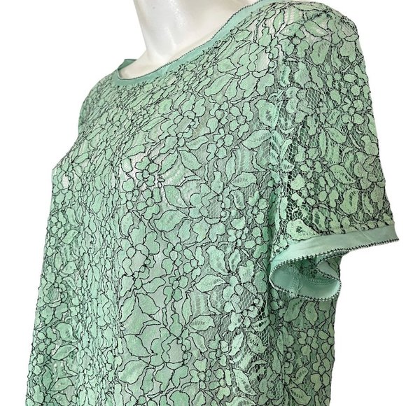 Ann Taylor Loft Green Lace Short Sleeve Sheer Dainty Floral Top Shirt Blouse  M - Picture 8 of 16